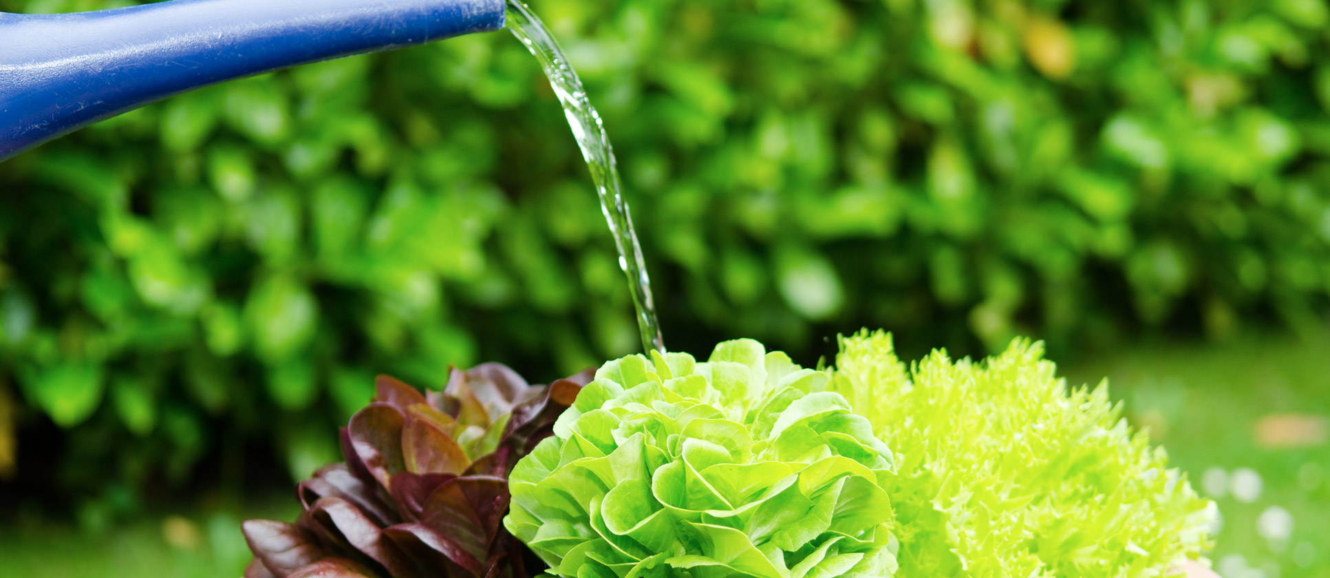 Tankreinigung und Umwelttechnik Heidenreich – Umnutzung von Tankanlagen